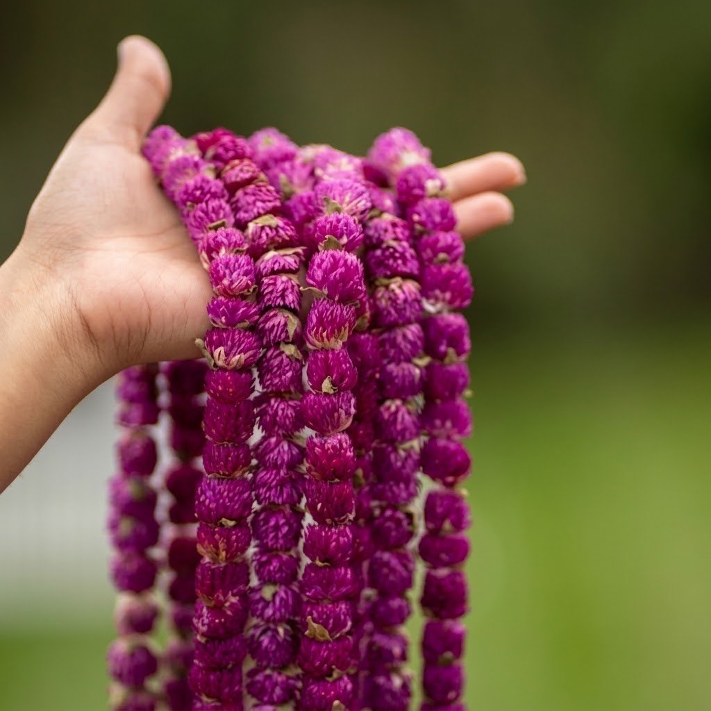 Makhamali Mala